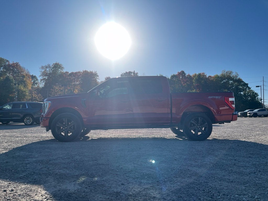 2023 Ford F-150 XL